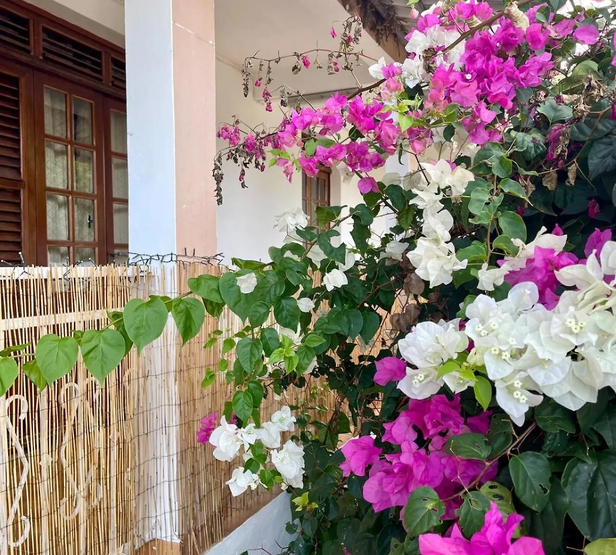 La Suite Bougainvillier Bellefontaine 0*,
